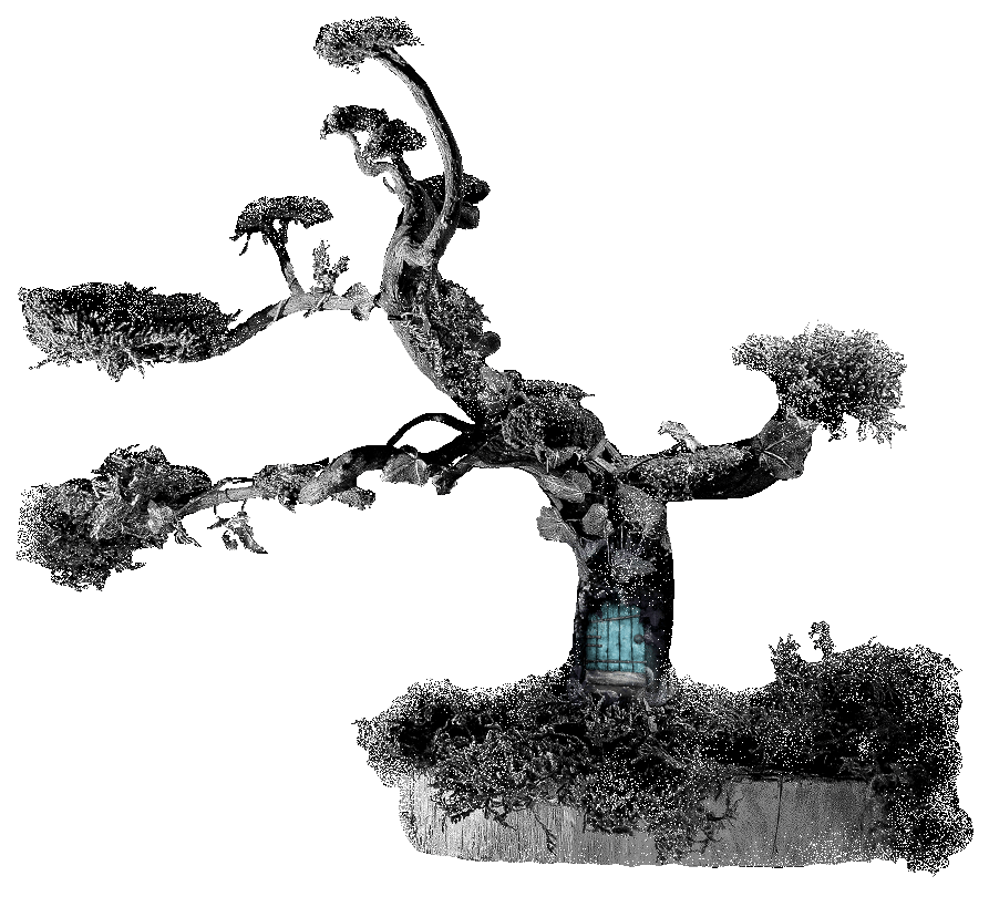 Baum