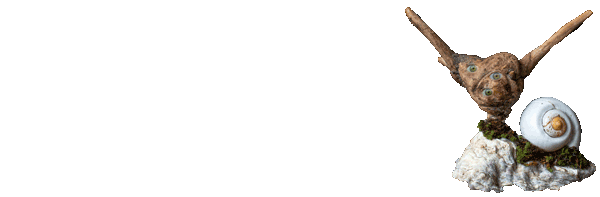 Schnecke aus Holz und Muschel