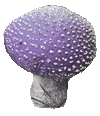 Pilz aus Moderliermasse