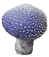 Pilz aus Moderliermasse