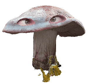 Pilze aus Moderliermasse