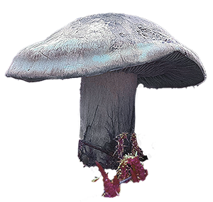 pilz